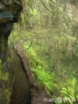 Caldeirao_Verde__34_