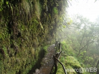 Caldeirao_Verde__5_