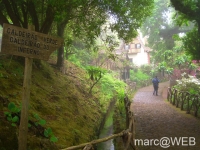 Caldeirao_Verde__7_