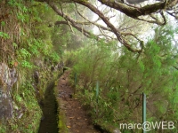 Caldeirao_Verde__9_