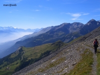 Wallis_064.JPG