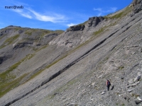 Wallis_066.JPG
