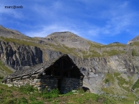 Wallis_100.JPG