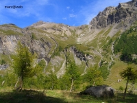Wallis_103.JPG