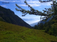 Wallis_110.JPG