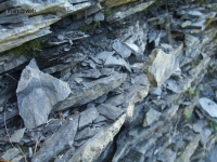 Wallis_119.JPG