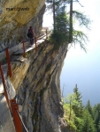 Wallis_146.JPG