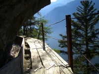 Wallis_150.JPG