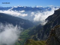 Wallis_162.JPG