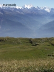 Wallis__18_.JPG
