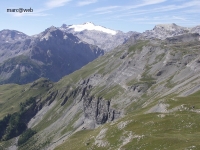 Wallis__33_.JPG