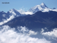 Wallis__79_.JPG