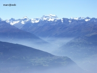 Wallis__8__neu