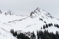 20190309-102533-ILCE-7M2-DSC08532