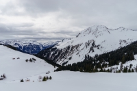20190309-110759-ILCE-7M2-DSC08547