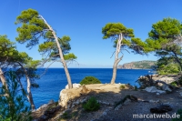 deia-soller-05