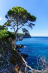 deia-soller-09