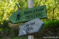 deia-soller-10