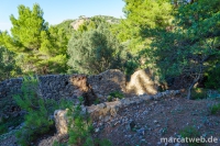 deia-soller-18
