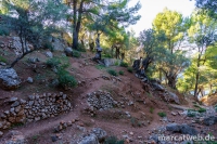 deia-soller-20
