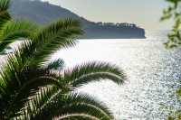deia-soller-23