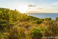 deia-soller-32
