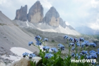 dolomiten (16)