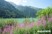 dolomiten (4)