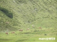 PICT0438.JPG