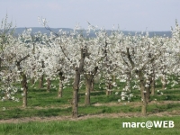 PICT0103.JPG
