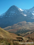 IM003261