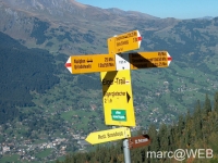 IM003318