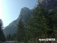 fanes (1)
