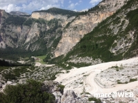 fanes (13)