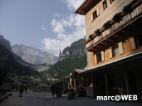 fanes (16)
