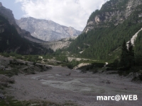 fanes (17)