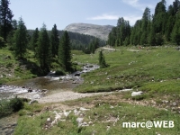 fanes (27)