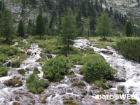 fanes (33)