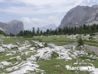 fanes (37)