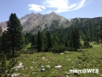 fanes (6)