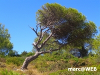 Algarve (26).JPG
