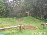foret_de_bebour__24_