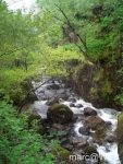 Glen_Nevis__16_