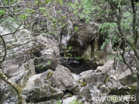 Glen_Nevis__19_