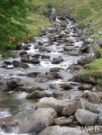 Glen_Nevis__23_