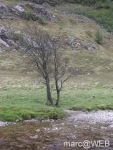 Glen_Nevis__24_