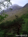 Glen_Nevis__2_
