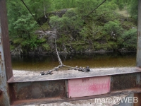 Glen_Nevis__31_
