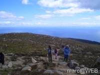 Goatfell__12_