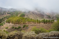 gran-canaria-11